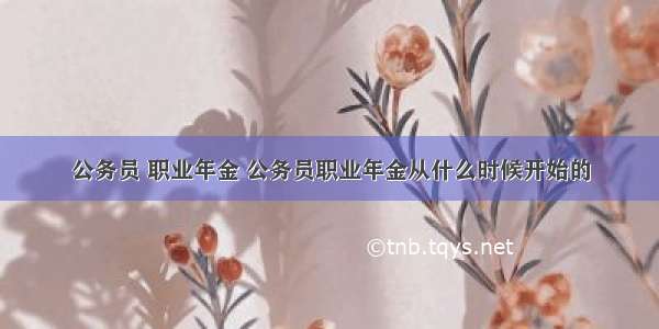 公务员 职业年金 公务员职业年金从什么时候开始的