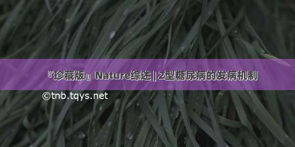 『珍藏版』Nature综述 | 2型糖尿病的发病机制