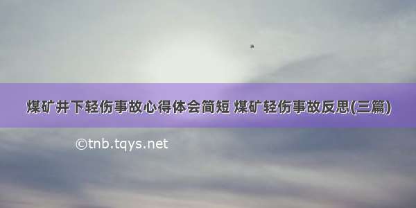 煤矿井下轻伤事故心得体会简短 煤矿轻伤事故反思(三篇)