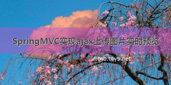 SpringMVC实现ajax上传图片实时预览