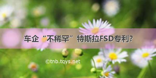 车企“不稀罕”特斯拉FSD专利？