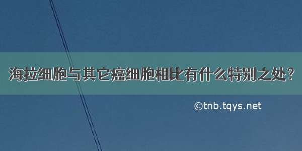 海拉细胞与其它癌细胞相比有什么特别之处？