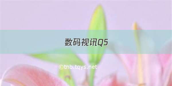 数码视讯Q5