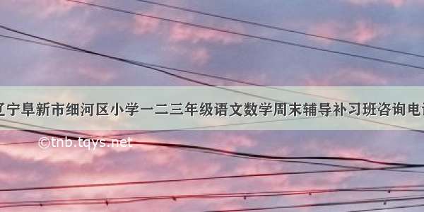 辽宁阜新市细河区小学一二三年级语文数学周末辅导补习班咨询电话