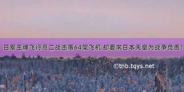 日军王牌飞行员二战击落64架飞机 却要求日本天皇为战争负责！