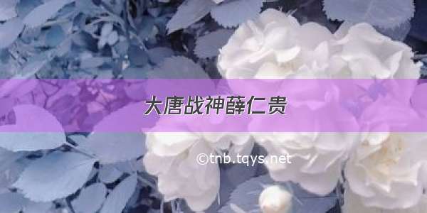 大唐战神薛仁贵