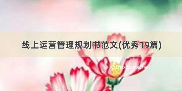 线上运营管理规划书范文(优秀19篇)