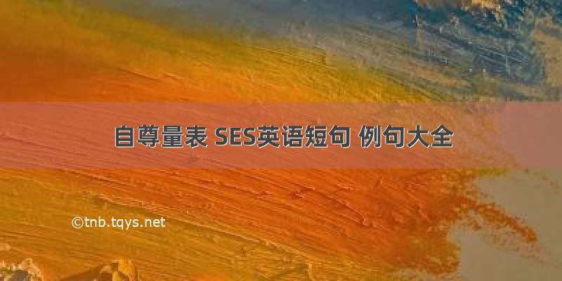 自尊量表 SES英语短句 例句大全