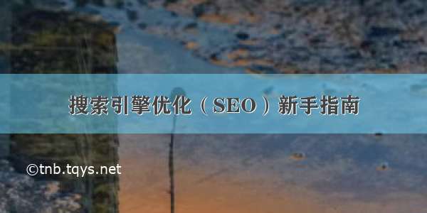 搜索引擎优化（SEO）新手指南