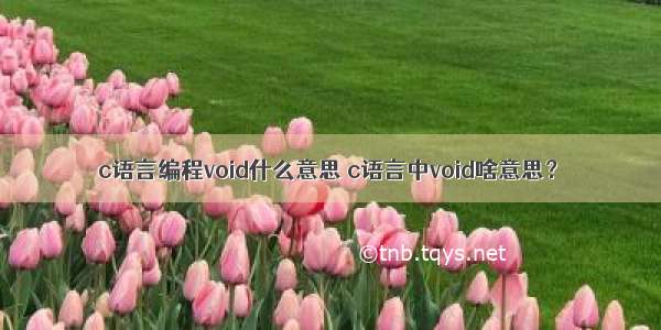 c语言编程void什么意思 c语言中void啥意思？