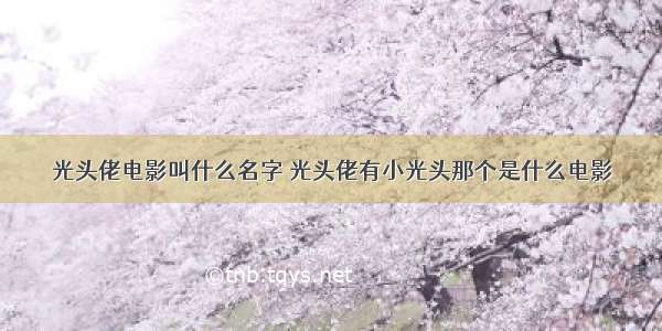 光头佬电影叫什么名字 光头佬有小光头那个是什么电影