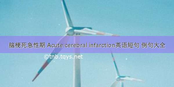 脑梗死急性期 Acute cerebral infarction英语短句 例句大全