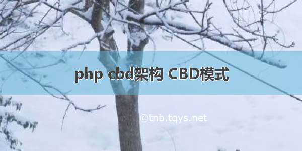 php cbd架构 CBD模式