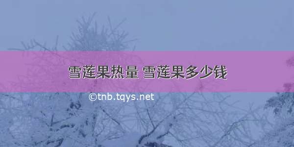 雪莲果热量 雪莲果多少钱