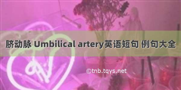 脐动脉 Umbilical artery英语短句 例句大全