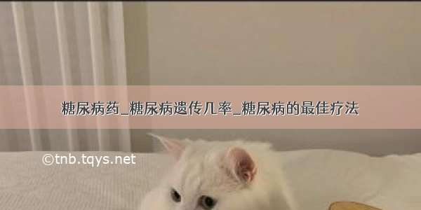 糖尿病药_糖尿病遗传几率_糖尿病的最佳疗法