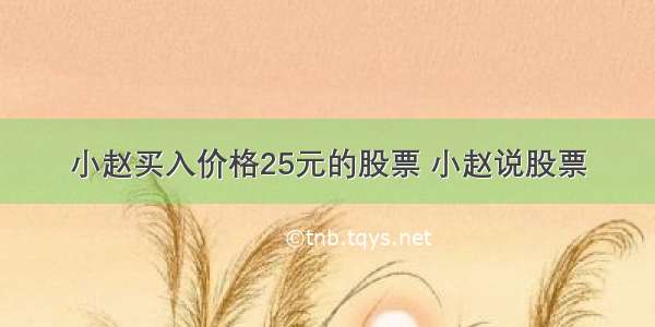 小赵买入价格25元的股票 小赵说股票