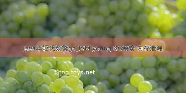 java年轻代频繁gc_JVM young GC频繁 内存泄漏