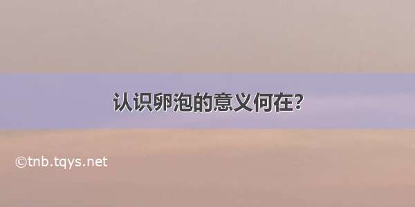 认识卵泡的意义何在？