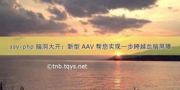 aav-php 脑洞大开：新型 AAV 帮您实现一步跨越血脑屏障