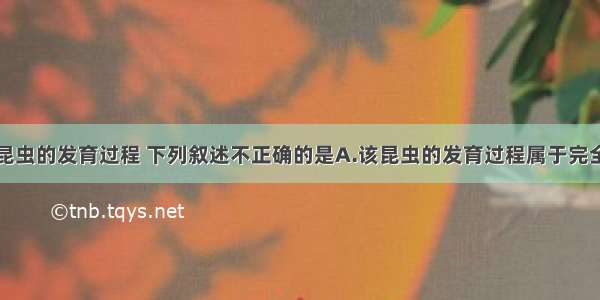 如图示某种昆虫的发育过程 下列叙述不正确的是A.该昆虫的发育过程属于完全变态发育B.