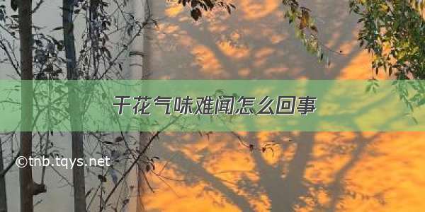 干花气味难闻怎么回事