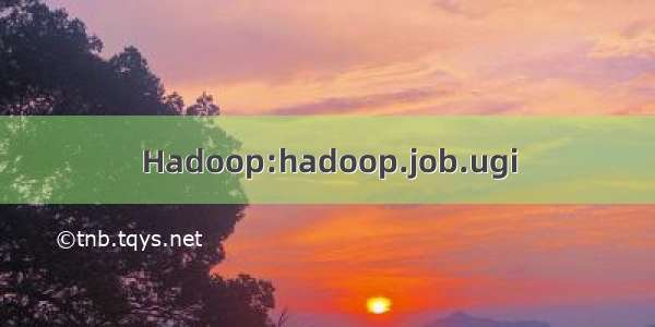 Hadoop:hadoop.job.ugi