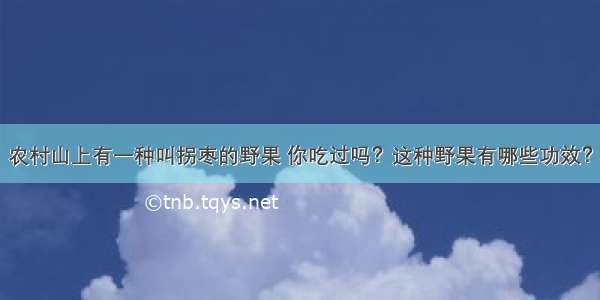 农村山上有一种叫拐枣的野果 你吃过吗？这种野果有哪些功效？