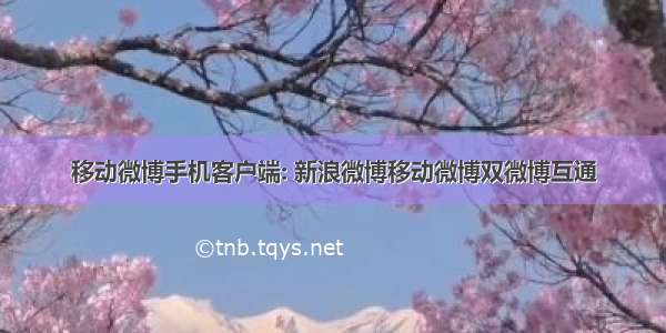 移动微博手机客户端: 新浪微博移动微博双微博互通