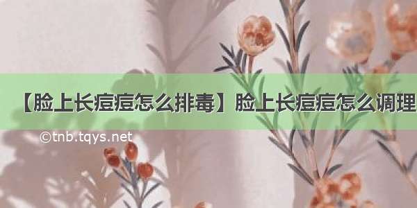 【脸上长痘痘怎么排毒】脸上长痘痘怎么调理