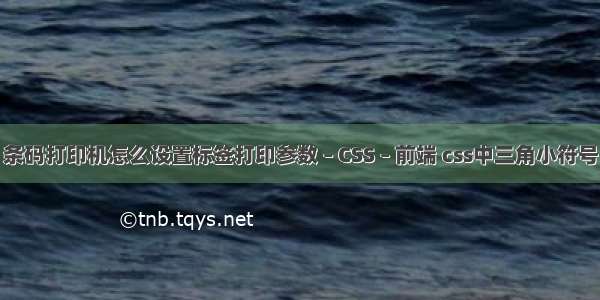 条码打印机怎么设置标签打印参数 – CSS – 前端 css中三角小符号