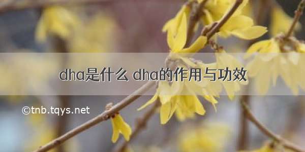 dha是什么 dha的作用与功效