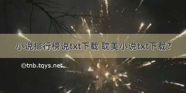 小说排行榜说txt下载 耽美小说txt下载？