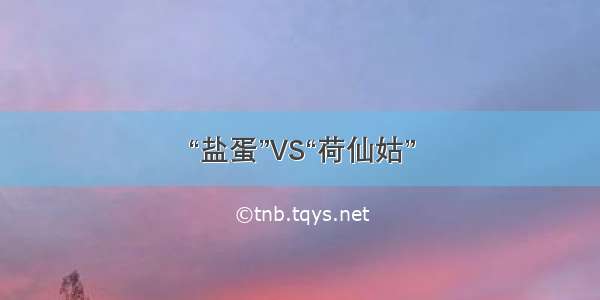 “盐蛋”VS“荷仙姑”