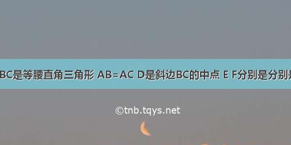 如图所示 △ABC是等腰直角三角形 AB=AC D是斜边BC的中点 E F分别是分别是AB AC边上