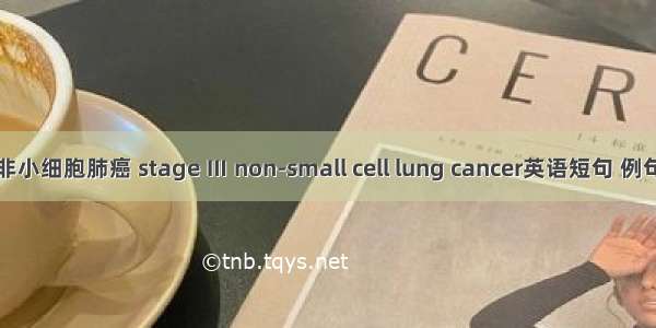 Ⅲ期非小细胞肺癌 stage Ⅲ non-small cell lung cancer英语短句 例句大全