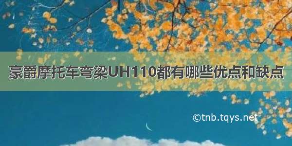 豪爵摩托车弯梁UH110都有哪些优点和缺点