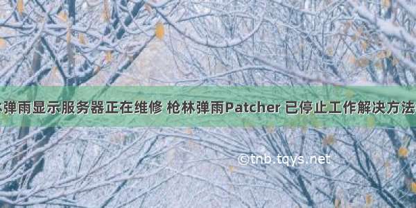 枪林弹雨显示服务器正在维修 枪林弹雨Patcher 已停止工作解决方法教程