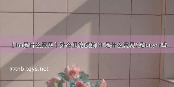 【bu是什么意思】外企里常说的BU是什么意思?是buyer吗