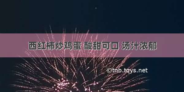 西红柿炒鸡蛋 酸甜可口 汤汁浓郁