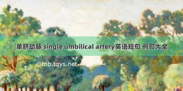 单脐动脉 single umbilical artery英语短句 例句大全