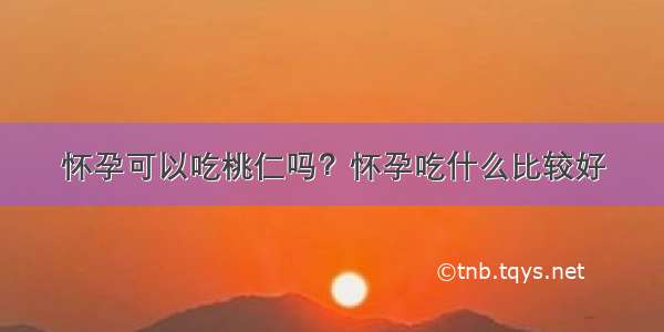 怀孕可以吃桃仁吗？怀孕吃什么比较好