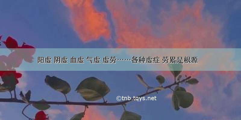 阳虚 阴虚 血虚 气虚 虚劳……各种虚症 劳累是根源