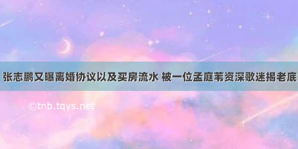 张志鹏又曝离婚协议以及买房流水 被一位孟庭苇资深歌迷揭老底