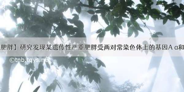 【遗传性肥胖】研究发现某遗传性严重肥胖受两对常染色体上的基因A a和B b基因...