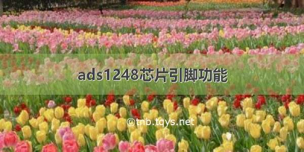 ads1248芯片引脚功能