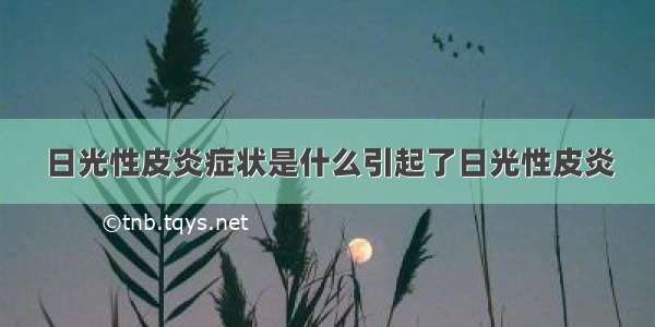 日光性皮炎症状是什么引起了日光性皮炎