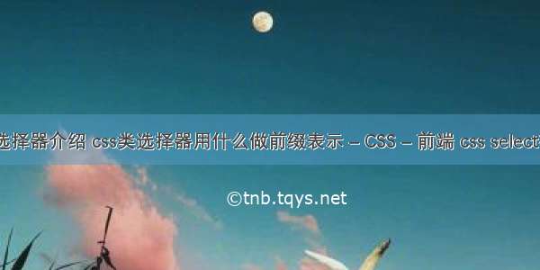 css选择器介绍 css类选择器用什么做前缀表示 – CSS – 前端 css select样式