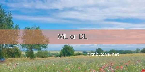 ML or DL