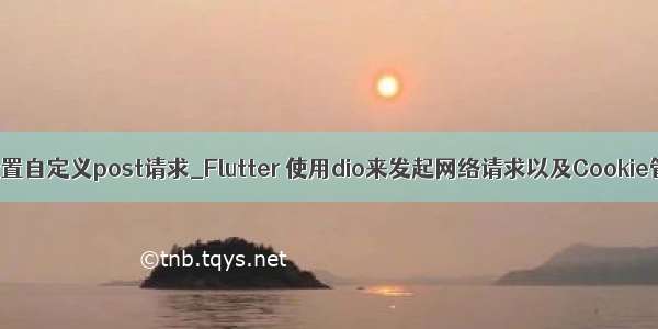 dio设置自定义post请求_Flutter 使用dio来发起网络请求以及Cookie管理